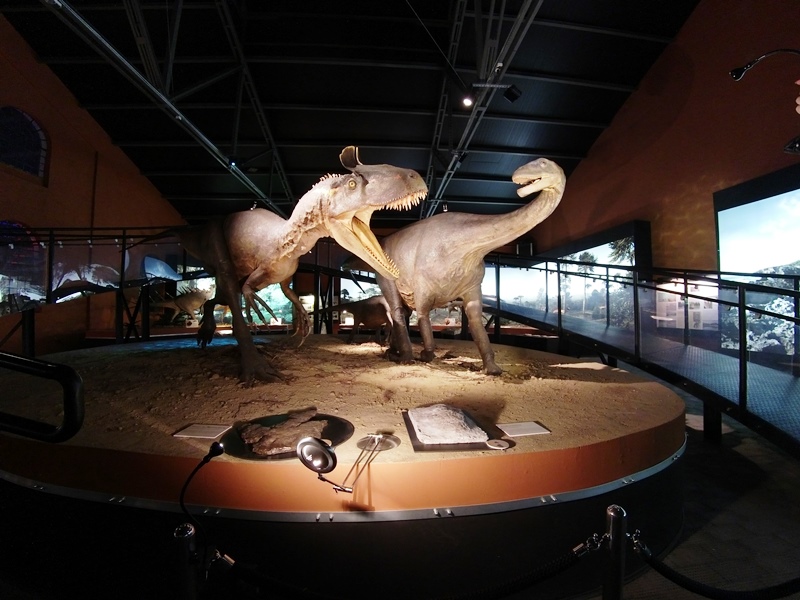 Fragment wystawy paleontologicznej
