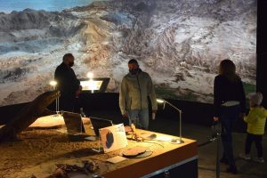 zwiedzający muzeum podczas X Nocy Muzealnej wystawa paleontologiczna