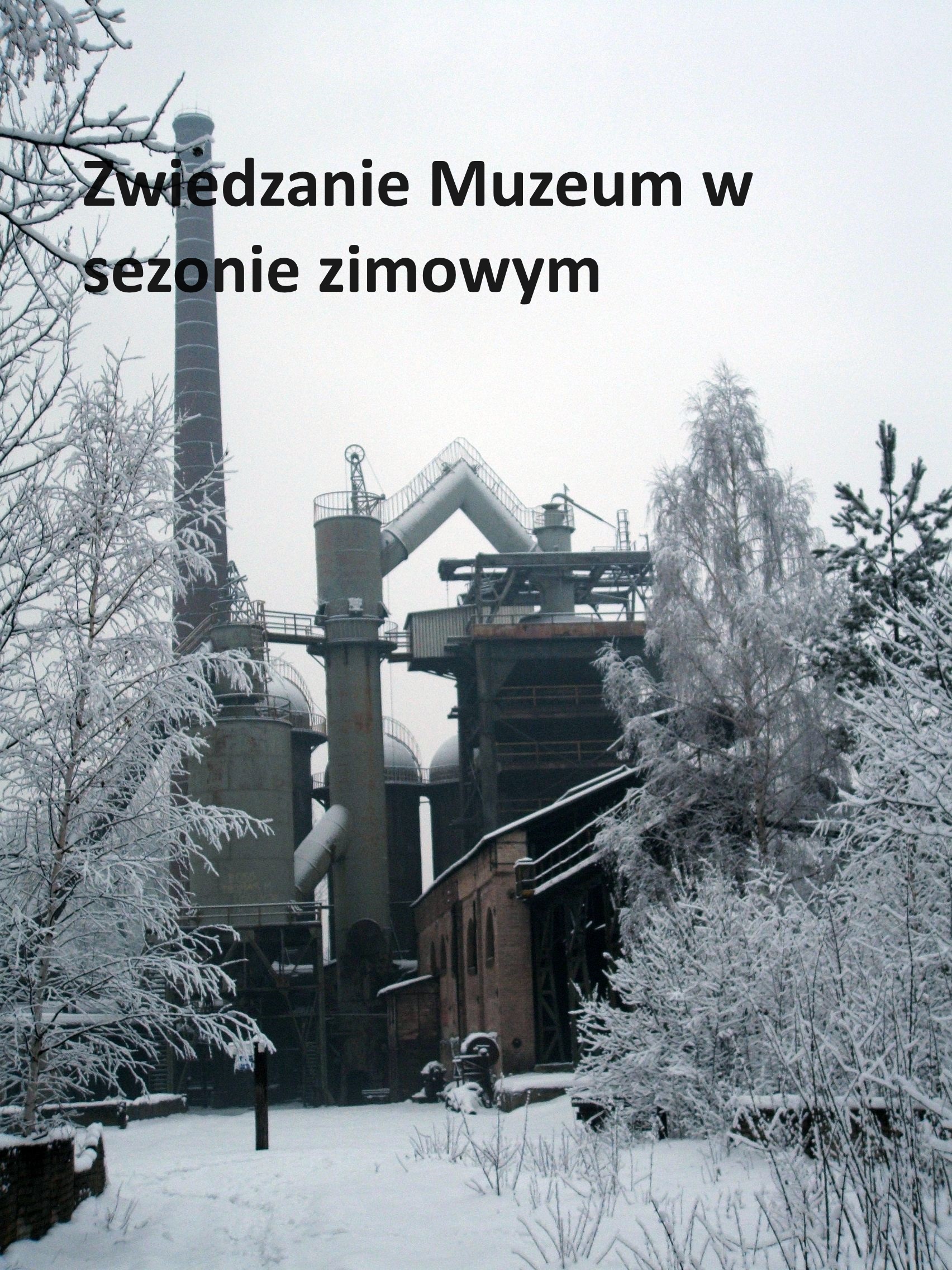 Zwiedzanie Muzeum w sezonie zimowym