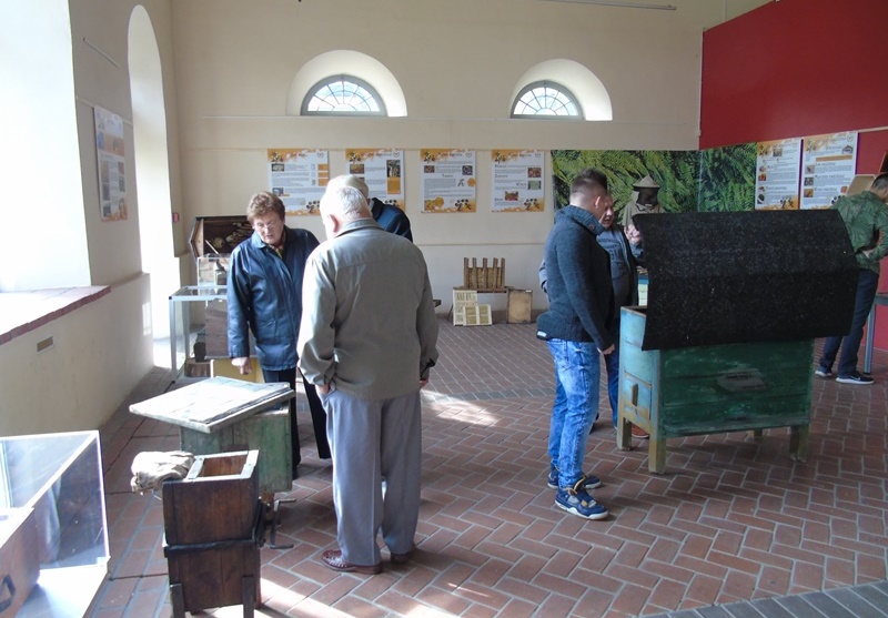 DSC04731-1-2