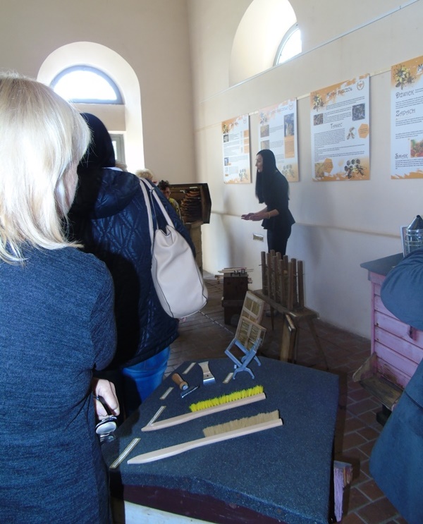 DSC04765-1-3