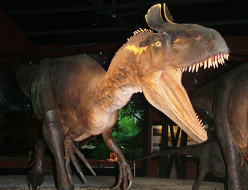 Paleontologia