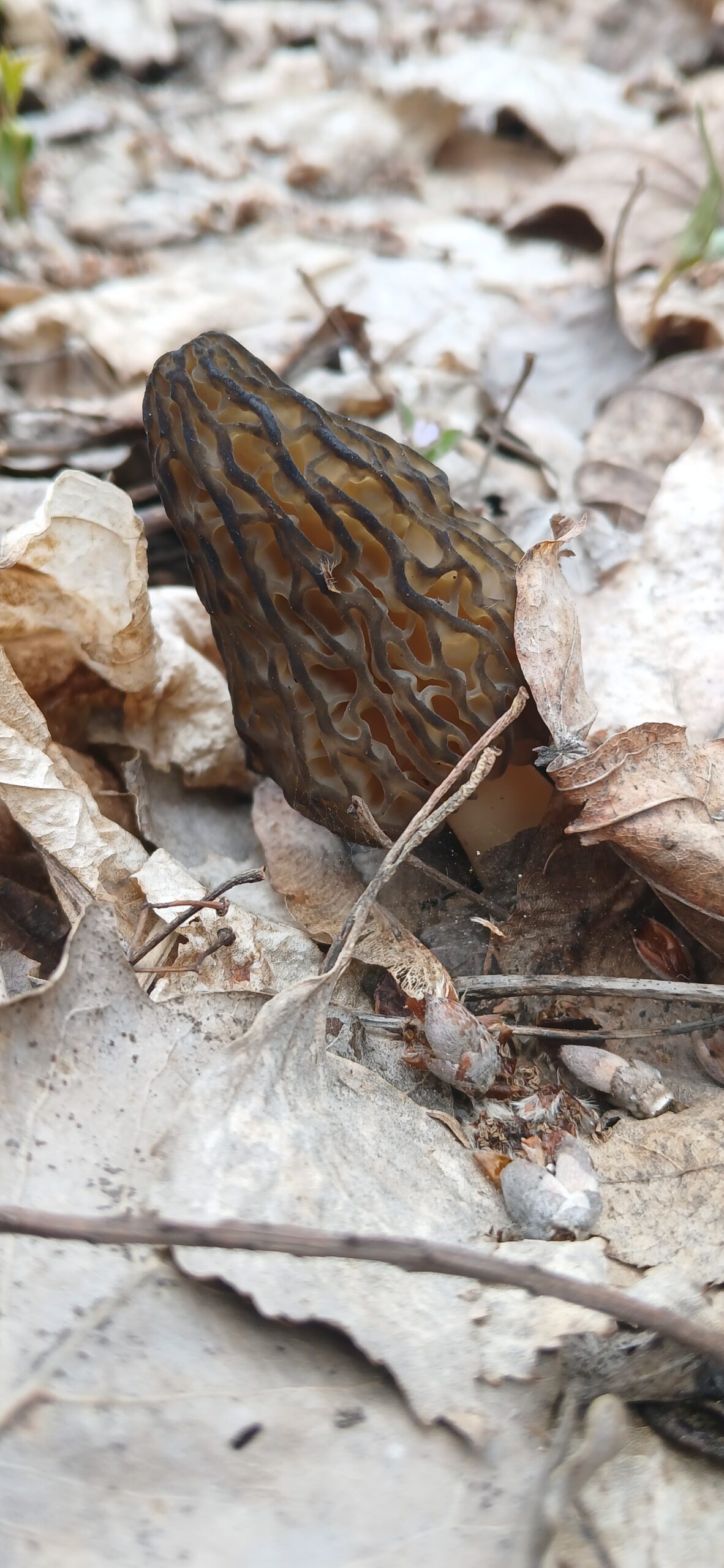 20260414_144502